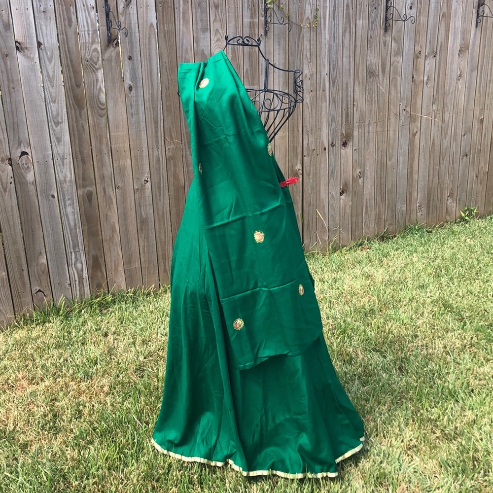 Green Dupatta and Skirt Set with Gold Trim and Embroidery